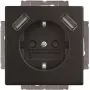 BJ 20 EUCB2USB-885 SCHUKO-/2x USB kontaktligzda (2CKA002011A6279)