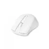 Pele DICOTA D31659W RF bezvadu USB Type-C