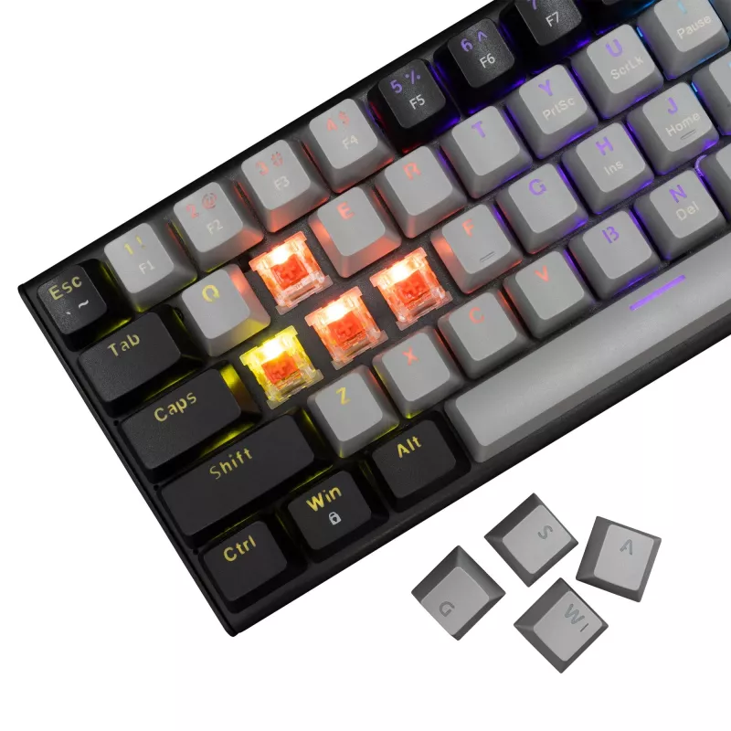 Mehāniskā spēļu tastatūra White Shark WAKIZASHI-2 US izkārtojums pelēki-melna ar sarkaniem slēdžiem