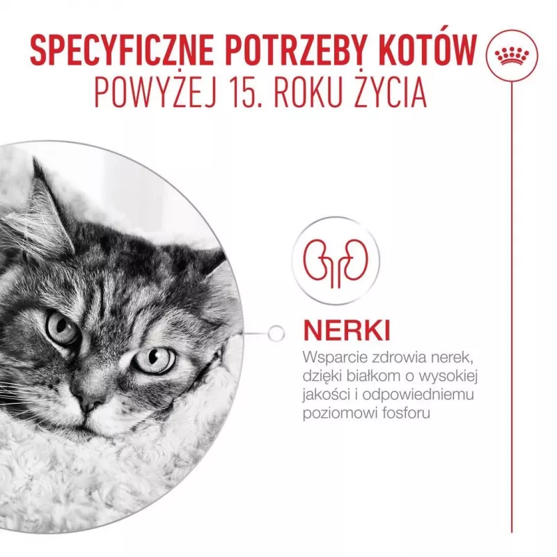 Sausā kaķu barība Royal Canin FHN Cat Ageing 15+ 2 kg — senioru kaķiem no 15 gadu vecuma, ar mājputnu garšu, 31% olbaltumvielu