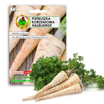 Apte Parsley Half-Long lente 6m — pētersīļu šķirne, vēlīna, augstražīga