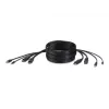 Belkin Secure KVM Combo Cable - Tastatur- / Video- / Maus- / Audio-Kabel - USB, Mini-Stecker, DisplayPort (M) bis Stereo Mini-Klinkenstecker, USB Typ 