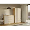 kumode ar 2 durvis un 4 atvilktnes, artisan ozols/kašmira krāsa