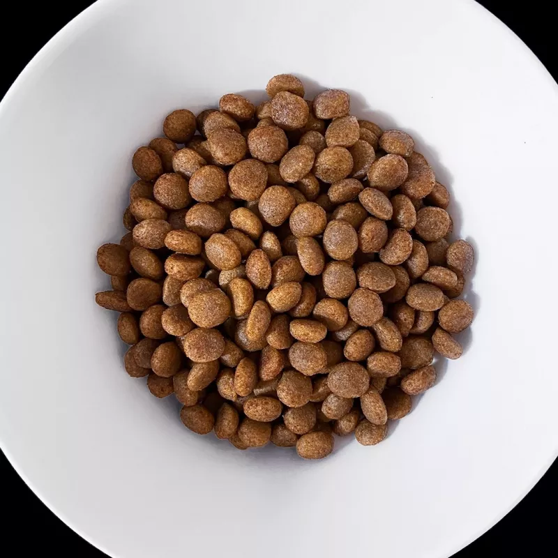 VET RESPONSE Hypoallergenic - sausā suņu barība - 8 kg