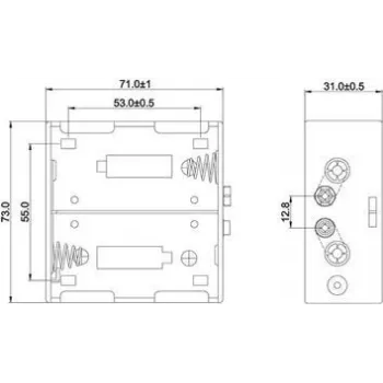 Wentronic 11452 akumulators melns