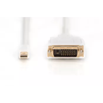 Kabelis DisplayPort 1.1a mini DP-DVI tipa MM 2,0m