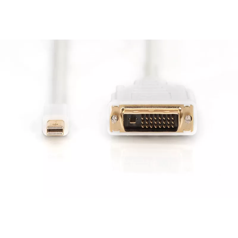Kabelis DisplayPort 1.1a mini DP-DVI tipa MM 2,0m