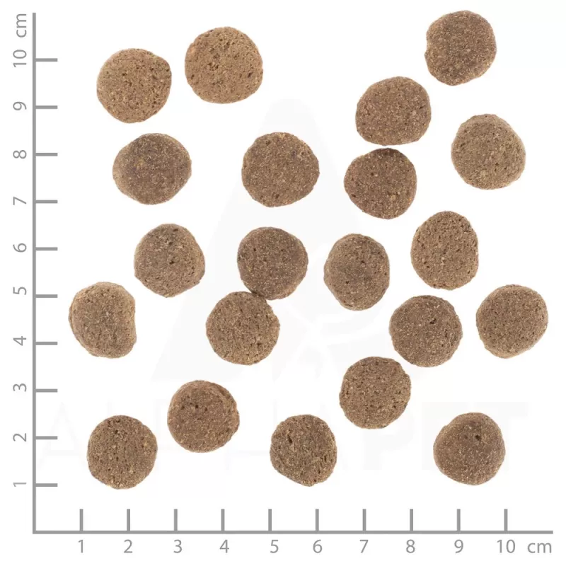 Sausā suņu barība Wolfsblut VetLine Weight Management Turkey — 12 kg, bez graudiem, 22% olbaltumvielu, 8% tauku