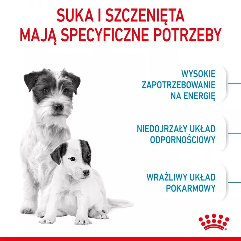 Sausā suņu barība Royal Canin Starter Mother & Babydog 1 kg — vistas garša, 30% olbaltumvielu, 22% tauku