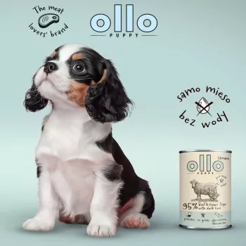 OLLO Puppy Umami liellopu gaļa un zaļās liellopu kuņģa rētas ar pīles aknām - mitrā suņu barība - 400g