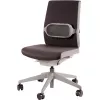 KRĒSLA MUGURAS BALSTS/I-SPIRE PELĒKS 8042201 FELLOWES