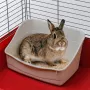 Atvērts stūra pakaišu kastes FERPLAST Rabbit tualete, plastmasa, pelēka, 370×270×185 mm, trušiem