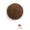 ORIJEN Regional Sarkans Cat - sausā kaķu barība - 340 g