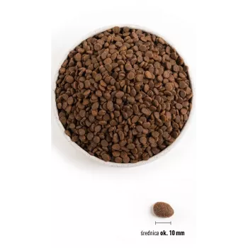 ORIJEN Regional Sarkans Cat - sausā kaķu barība - 340 g