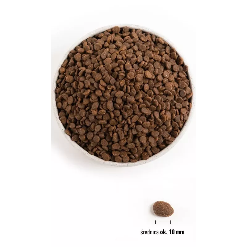 ORIJEN Regional Sarkans Cat - sausā kaķu barība - 340 g