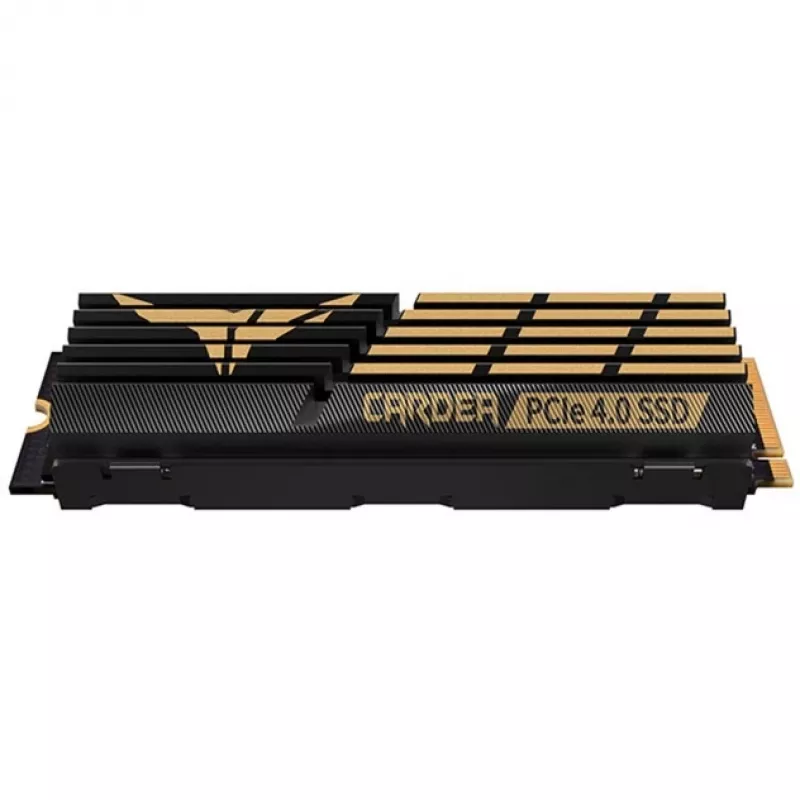 SSD disks Team Group 2 TB M.2 PCIe 4.0 T-FORCE CARDEA A440