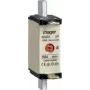 Hager LNH0160MK. Platums: 30 mm, Augstums: 79 mm (LNH0160MK)