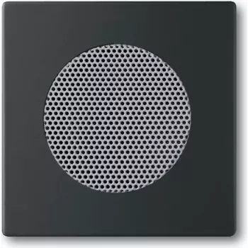 Sienas plāksne / slēdža pārsegs Busch-Jaeger 8200-0-0126 — melns, konvencionāls dizains, 63×63 mm
