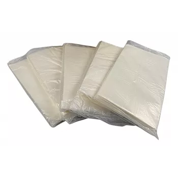 BSTech C5 kurjerpiegādes lapas 235x175 mm 1000 gab.