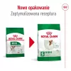 Sausā suņu barība Royal Canin Adult Mini S 8 kg — pilnvērtīgs uzturs maziem pieaugušiem suņiem