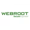 Webroot | DNS aizsardzība ar GSM konsoli | 1 gads | Licences daudzums 10-99 lietotāji