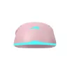 Pele Baracuda BGM-124 Turtle Pink TURTLE-P