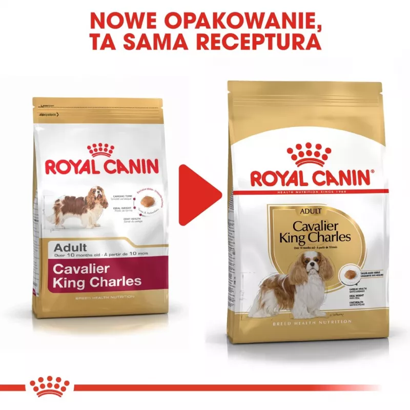 Sausā suņu barība Royal Canin Cavalier King Charles Adult 1.5 kg — Vistas gaļa, mazās šķirnes, āda un apmatojums, sirds atbalsts