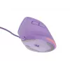 NATEC Crake 2 Pro pele universāla labā roka USB Type-A optiskā 12800 DPI