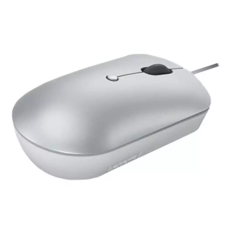 Vadu optiskā pele piemērota abām rokām Lenovo 540 USB Type-C, 3 DPI režīmi, pelēka, 4 pogas, 1,8 m kabelis