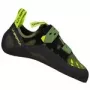 Tarantula - olive neon holder
