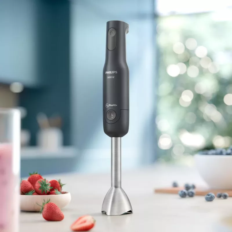 Philips 1000 series HR2522/00 blenderis Iegremdējamais blenderis 500 W