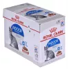 Mitrā kaķu barība Royal Canin Indoor Sterilized 12 x 85 g — mājputni, pieaugušiem sterilizētiem iekštelpu kaķiem