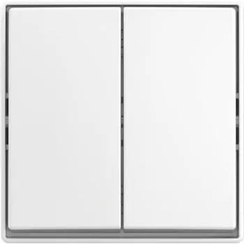 BUSCH JAEGER svirslēdzis AP 2601/5 J-524 (2TKA00005523)