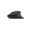 Natec Wireless pele Siskin 2 BT 5.0 + 2.4GHZ