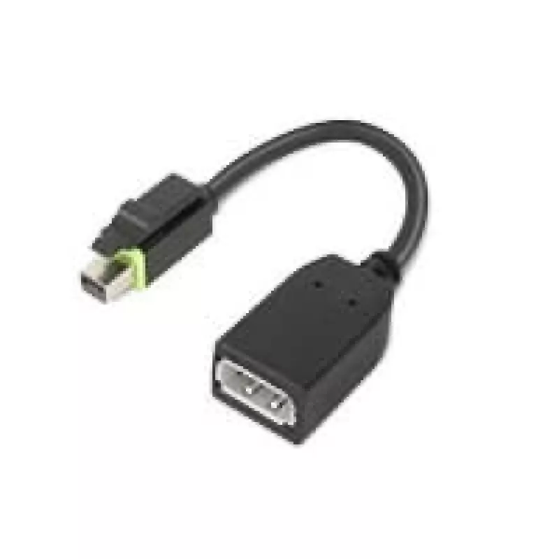 Lenovo 4X90Q93975 video kabeļa adapteris Mini DisplayPort — DisplayPort, melns