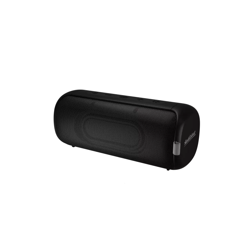 Stereo portatīvais skaļrunis Audictus Aurora Pro 20 W