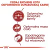 Royal Canin Feline Fit 2kg kaķu sausā barība pieaugušiem kaķiem