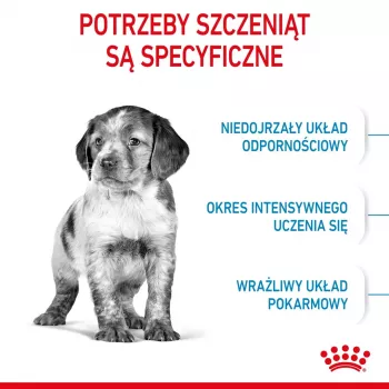 Sausā suņu barība Royal Canin Medium Puppy 4 kg — vidēja izmēra šķirnēm 10–25 kg, proteīns 32%, tauki 20%, vistas gaļa