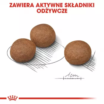 ROYAL CANIN CCN Medium Digestive Care - sausa suņu barība - 3 kg