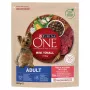 Sausā suņu barība Purina Nestle Mini Adult Beef & Rice 800 g — sausi grauzdiņi maziem pieaugušiem suņiem, 27% olbaltumvielu, 17% tauku