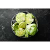 Dārza salātu 'Crisp Ice Lettuce Summer Toraf' sēklas, 1 g iepakojumā