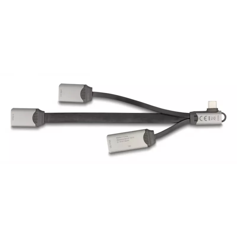 DeLOCK 64303 USB 3.2 Gen 1 Type-C centrmezgls 5000 Mbit/s Pelēks