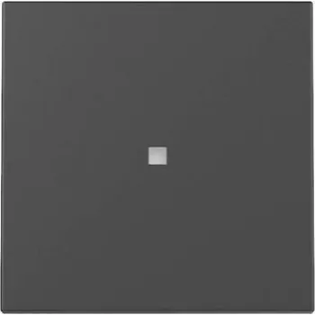 Gira 3290005 Tīkla ierīce