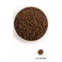 ACANA Grasslands Cat - sausā kaķu barība - 4,5 kg