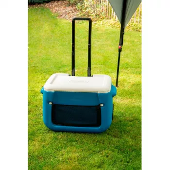 Coleman 2000036081 46 L zila