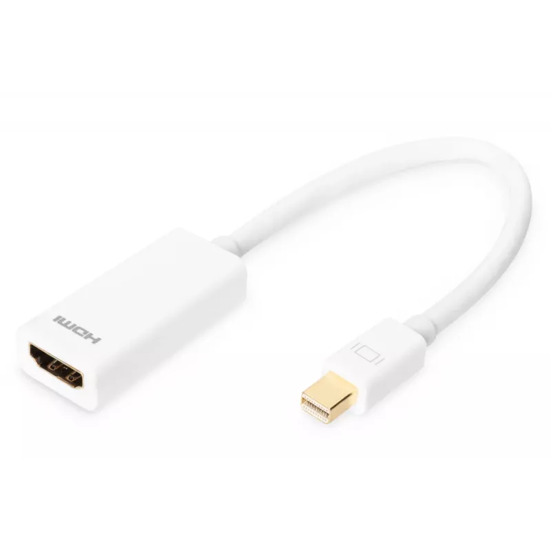 DisplayPort adapteris Digitus AK-340404-001-W