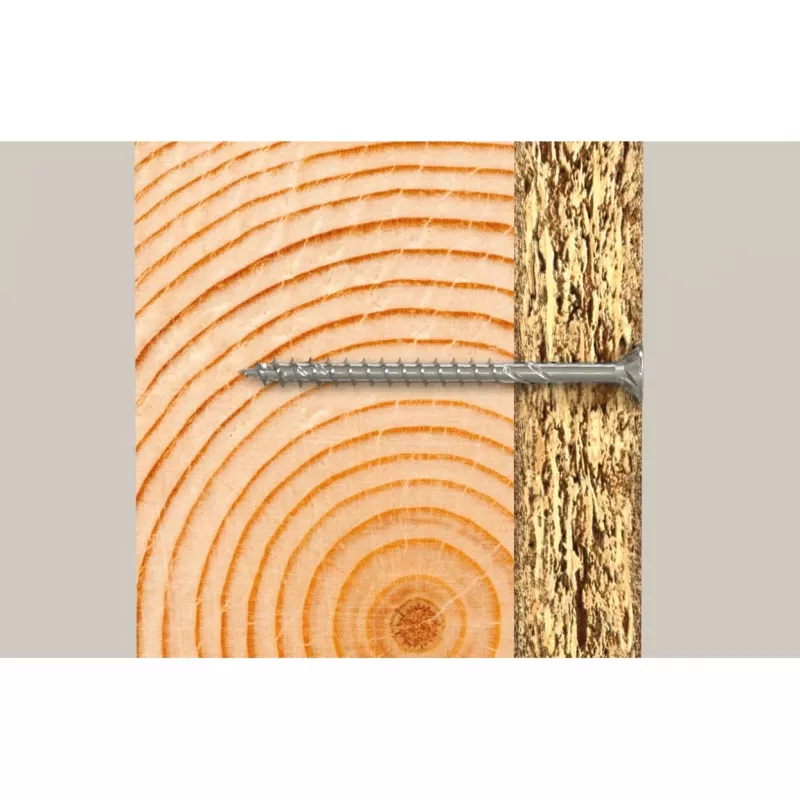 Fischer 670408 100 mm skrūves
