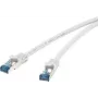 Tīkla kabelis Renkforce RJ45 CAT 6a S/FTP 0.25 m pelēks