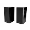 Skaļruņi Audience HQ MT3143 (2x 20W RMS) Stereo MT3143K