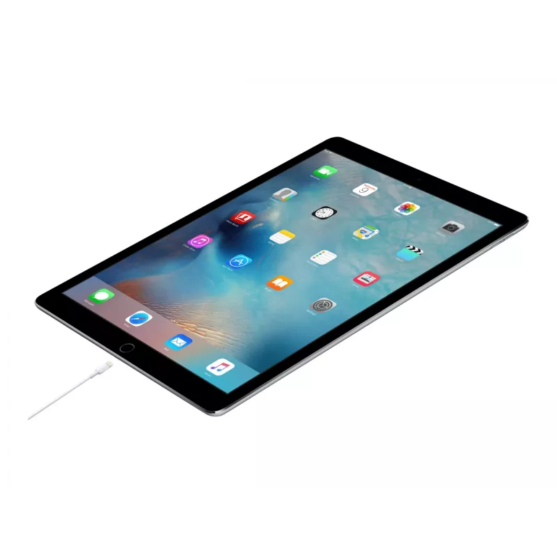 Apple USB-C uz Lightning kabelis (1 m)
